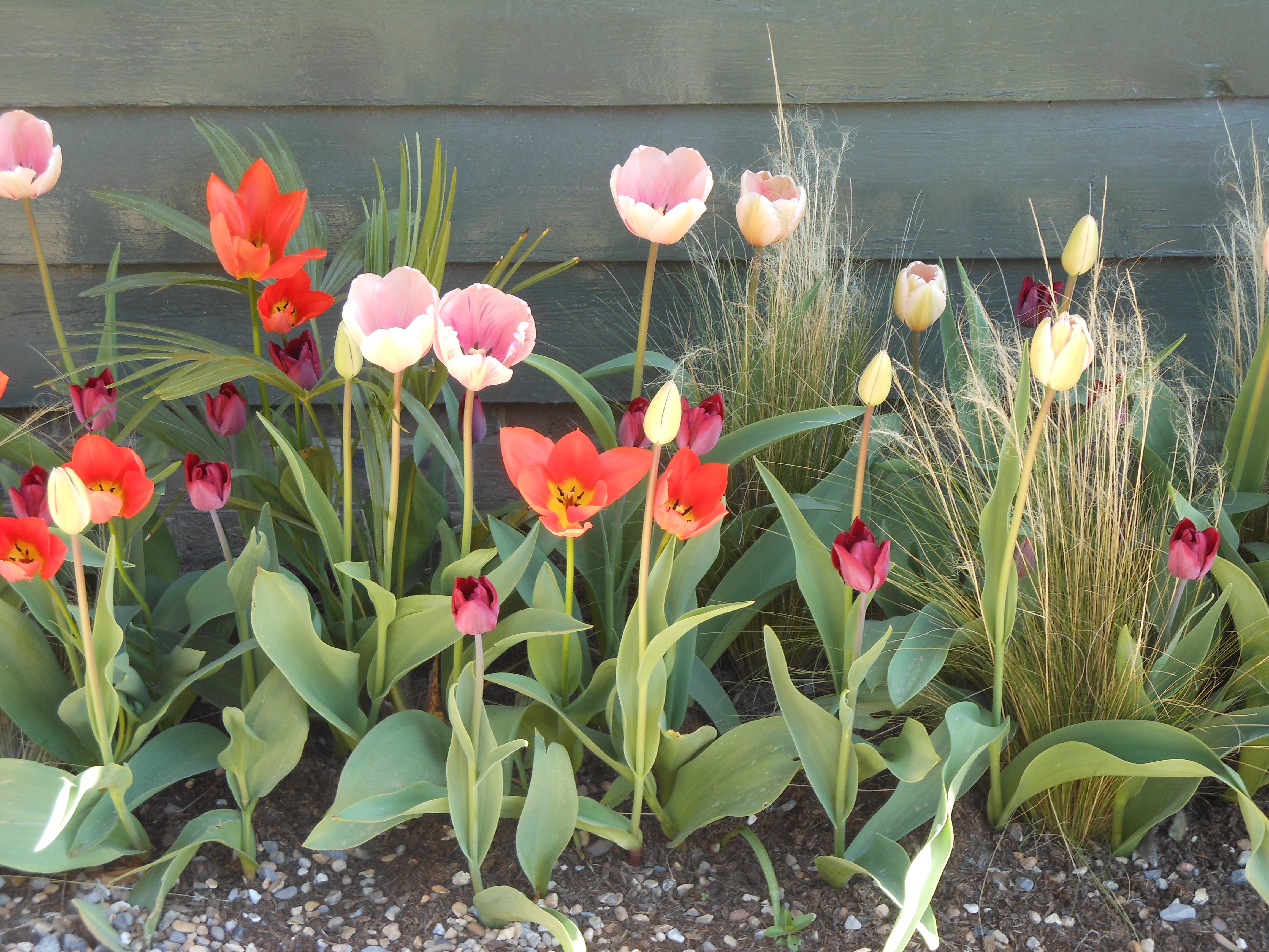 Well Dressings Bakewell